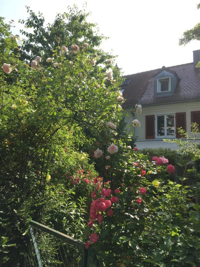 Vintage-Mansarde Uber Wilden Garten Estugarda Exterior foto